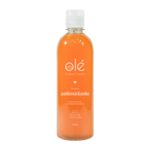 SHAMPOO MIX DE FRUTAS - 500ml